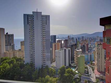 Piso en venta en Benidorm
