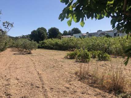 Parcela rústica en venta en Calpe