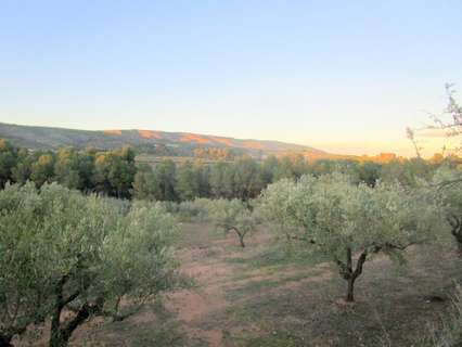 Parcela rústica en venta en Mogente/Moixent