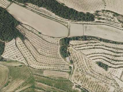 Parcela rústica en venta en Mogente/Moixent