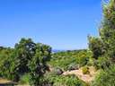 Parcela rústica en venta en Marbella