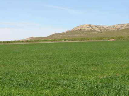 Parcela rústica en venta en Yecla