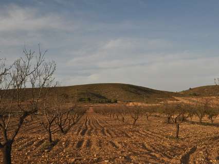 Parcela rústica en venta en Abanilla