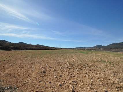 Parcela rústica en venta en Salinas