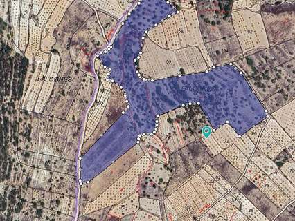 Parcela rústica en venta en Monóvar/Monòver