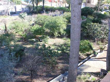 Parcela rústica en venta en L'Eliana