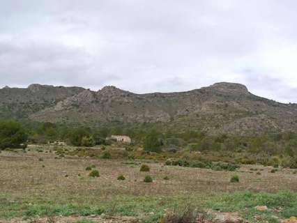 Parcela rústica en venta en Yecla