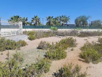 Parcela rústica en venta en Elche/Elx zona La Hoya