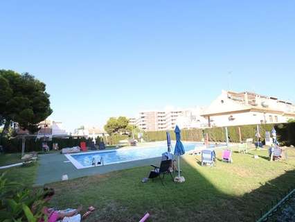 Local comercial en venta en Orihuela zona Orihuela-Costa