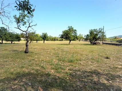 Parcela rústica en venta en Artà