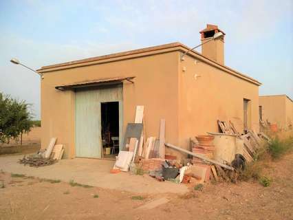 Parcela rústica en venta en Aspe