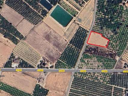 Parcela rústica en venta en Guardamar del Segura