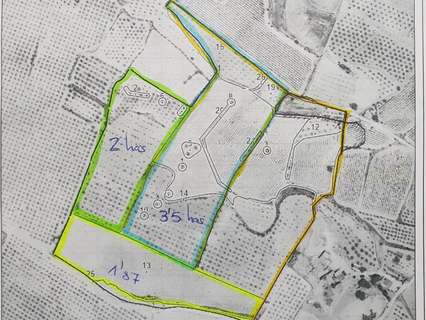 Parcela rústica en venta en El Pinós/Pinoso