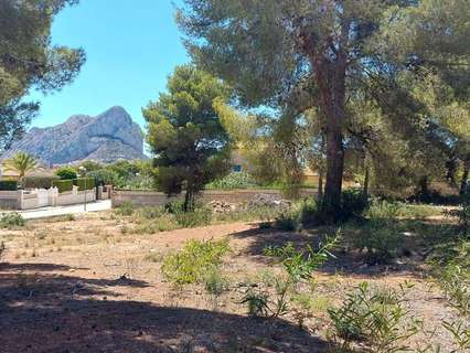 Parcela rústica en venta en Calpe