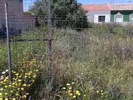 Parcela rústica en venta en San Pedro del Pinatar