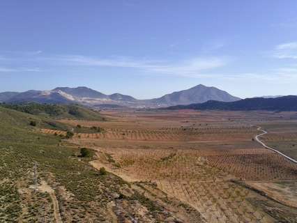 Parcela rústica en venta en Jumilla