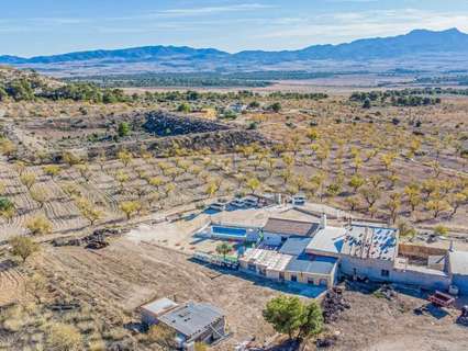 Casa en venta en El Pinós/Pinoso