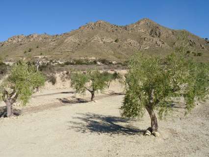 Parcela rústica en venta en Abanilla