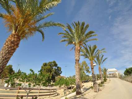 Local comercial en venta en Abanilla