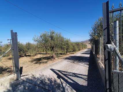 Parcela rústica en venta en Alhaurín el Grande