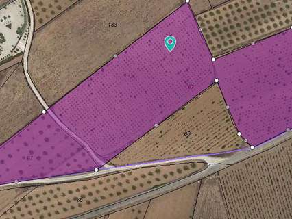 Parcela rústica en venta en El Pinós/Pinoso