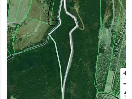 Parcela rústica en venta en Manilva