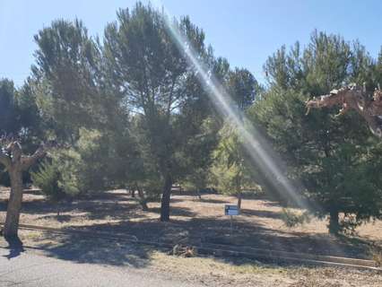 Parcela rústica en venta en Beneixama