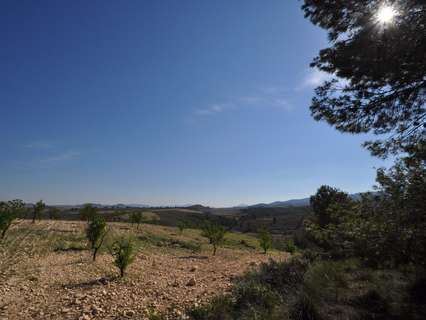 Parcela rústica en venta en Jumilla