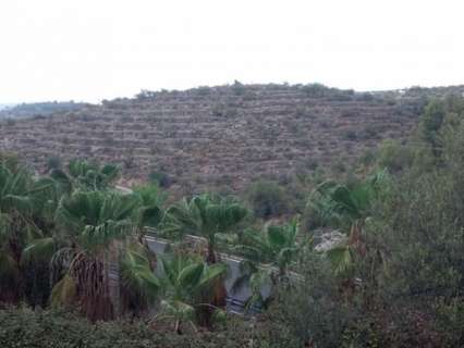 Parcela rústica en venta en Gandía