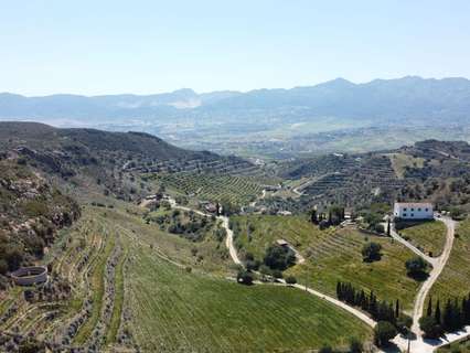 Casa en venta en Málaga