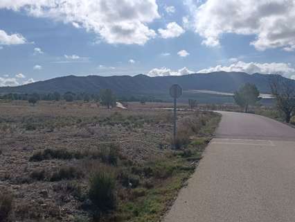 Parcela rústica en venta en Salinas