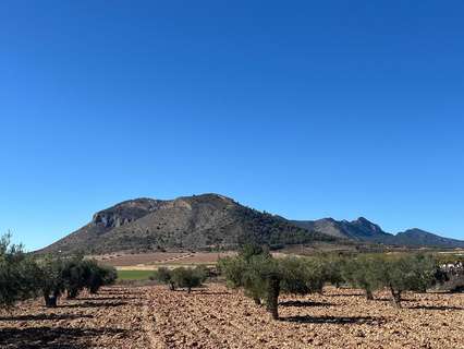 Parcela rústica en venta en La Romana