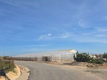 Piso en venta en Pilar de la Horadada