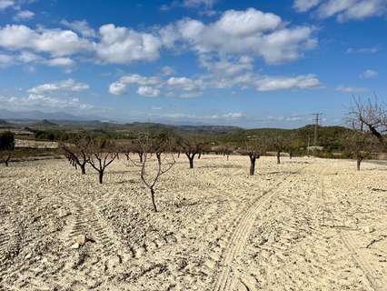 Parcela rústica en venta en Bullas