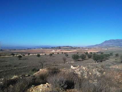 Parcela rústica en venta en Jumilla