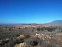 Parcela rústica en venta en Jumilla