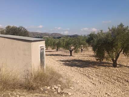Parcela rústica en venta en Salinas