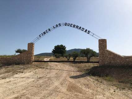 Parcela rústica en venta en Yecla