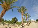 Local comercial en venta en Abanilla