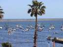 Apartamento en venta en San Pedro del Pinatar zona Lo Pagán