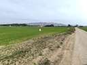 Parcela rústica en venta en Villena