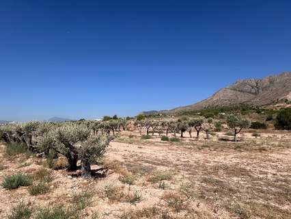 Parcela rústica en venta en Abanilla
