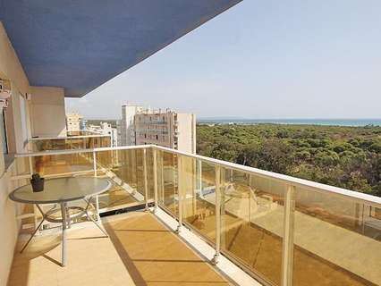 Apartamento en venta en Guardamar del Segura