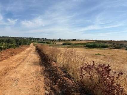 Parcela rústica en venta en Bollullos Par del Condado