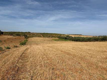 Parcela rústica en venta en Bollullos Par del Condado