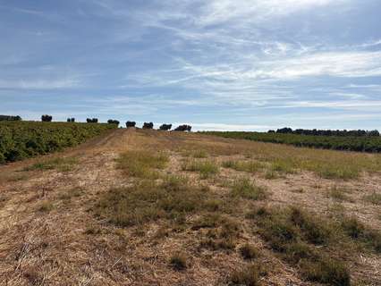 Parcela rústica en venta en Bollullos Par del Condado