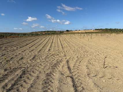 Parcela rústica en venta en Bollullos Par del Condado