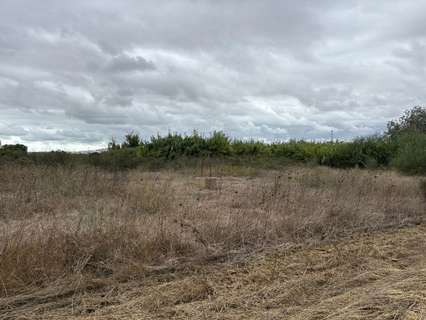 Parcela rústica en venta en Bollullos Par del Condado