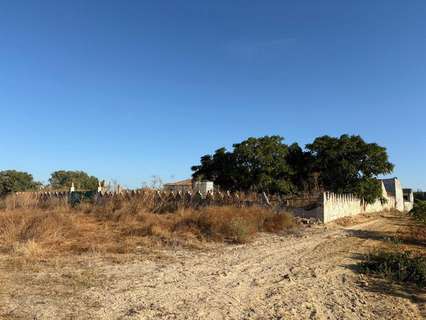Parcela rústica en venta en Almonte