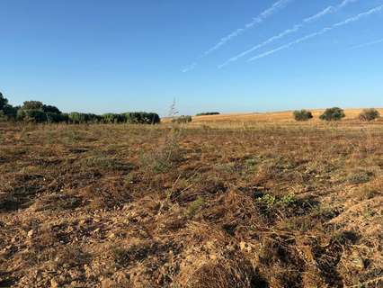 Parcela rústica en venta en Bollullos Par del Condado